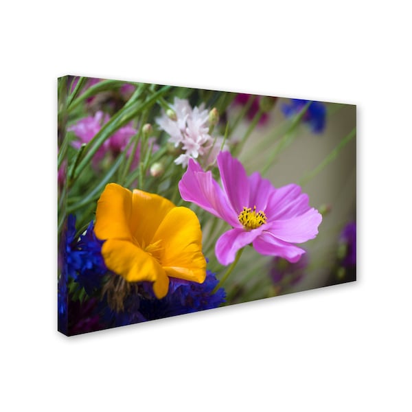 Philippe Sainte-Laudy 'Cosmos Of The Fields' Canvas Art,30x47
